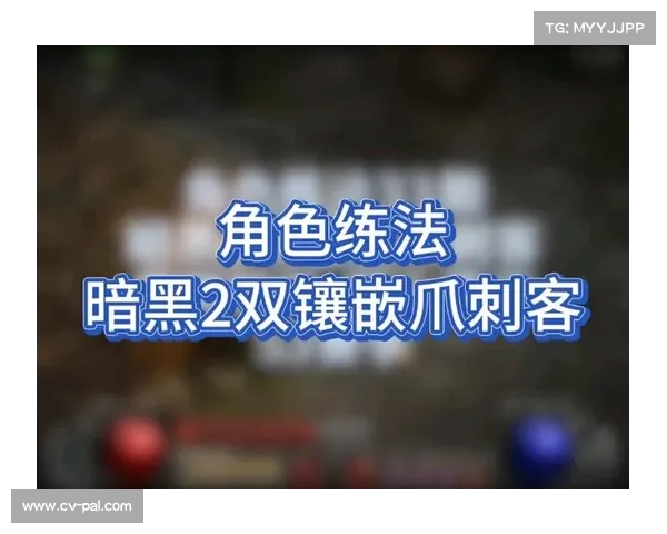 暗黑2单机刺客加点攻略 暗黑2单机刺客加点攻略
